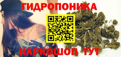 Альфа ПВП Малоярославец