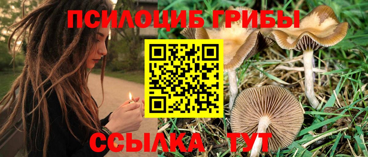 Псилоцибиновые грибы Psilocybine cubensis  Вход с VPN  Псилоцибиновые грибы Psilocybe  где найти наркотики  Ярцево 